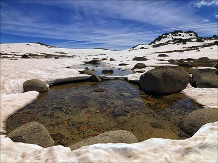 Kosciuszko NP - NSW SQ (PBH4 00 10853)